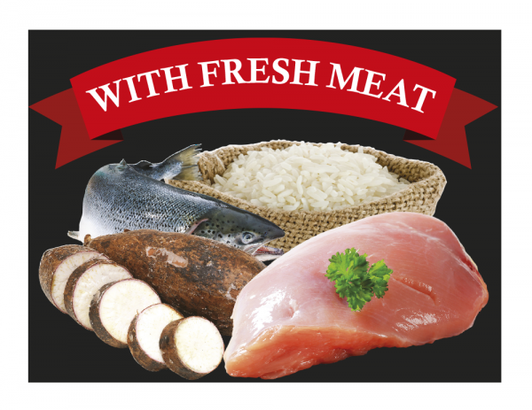 Element-1-maxi-junior-600x463