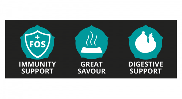 Element-3-maxi-junior-600x326