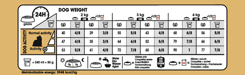 Yorkshire Terrier Adult Feeding