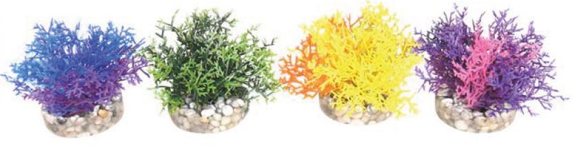 Sydeco аквариумно растение Coral Reef 349630