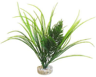 Sydeco растение Exotic Ocean