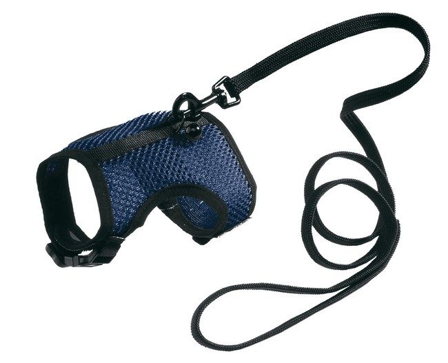 https://www.petmagazin.bg/ferplast-jogging-xl-nagradnik/